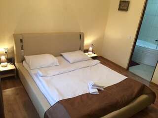 Отели типа «постель и завтрак» Casa Aurelia Сибиу Номер с кроватью размера "queen-size" и гидромассажной ванной-36